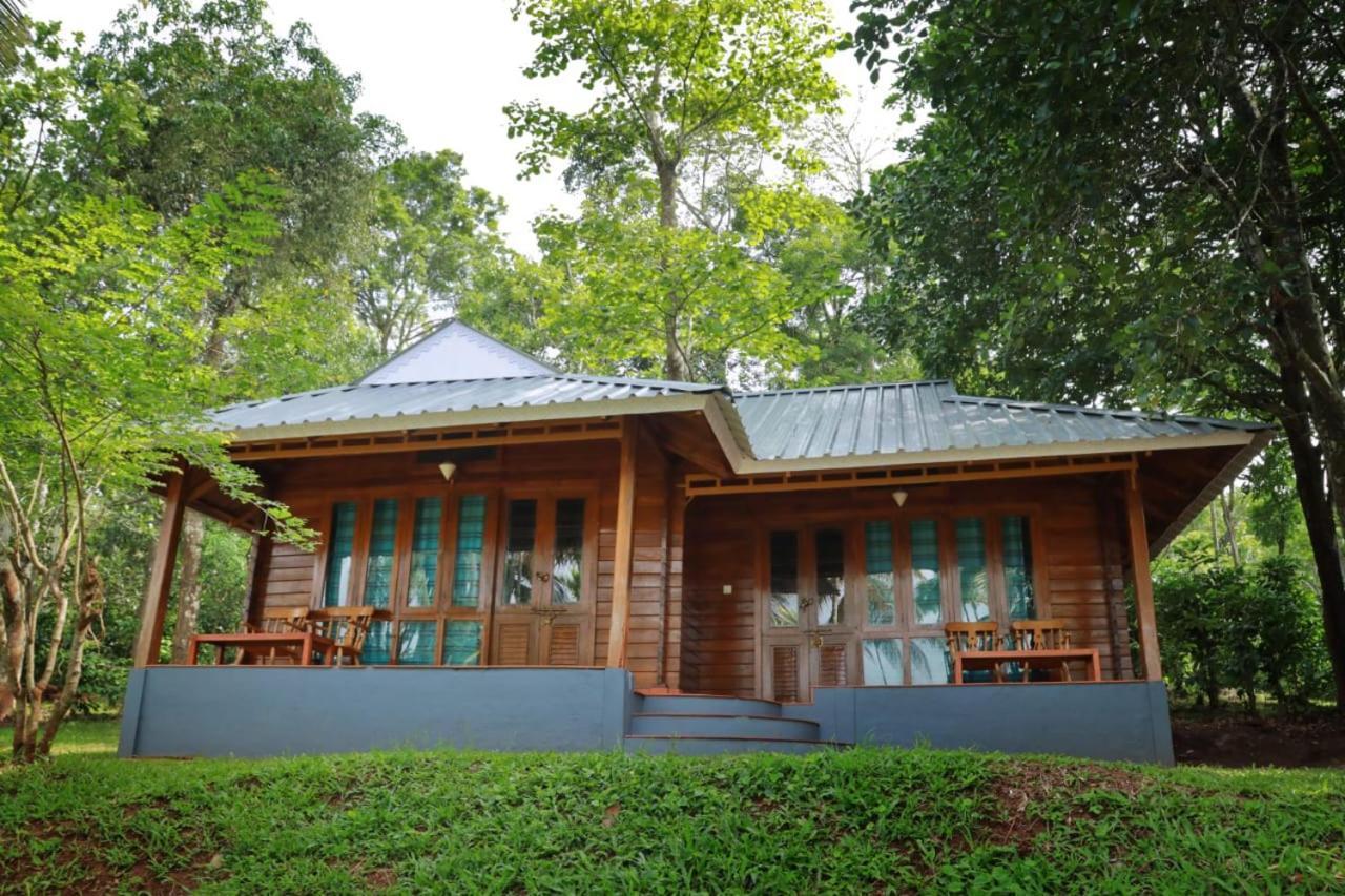 Royal Wooden Villa Манантавади Екстериор снимка